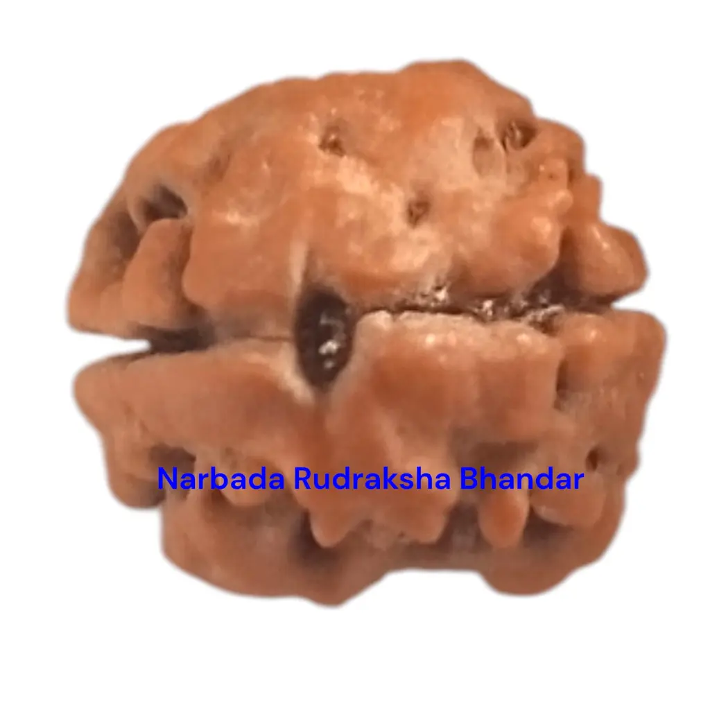 WhatsApp Image 2025-12-10 at 10.03.05 PM.webp