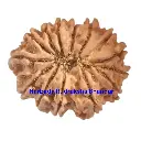 WhatsApp Image 2025-12-10 at 10.03.34 PM (1).webp