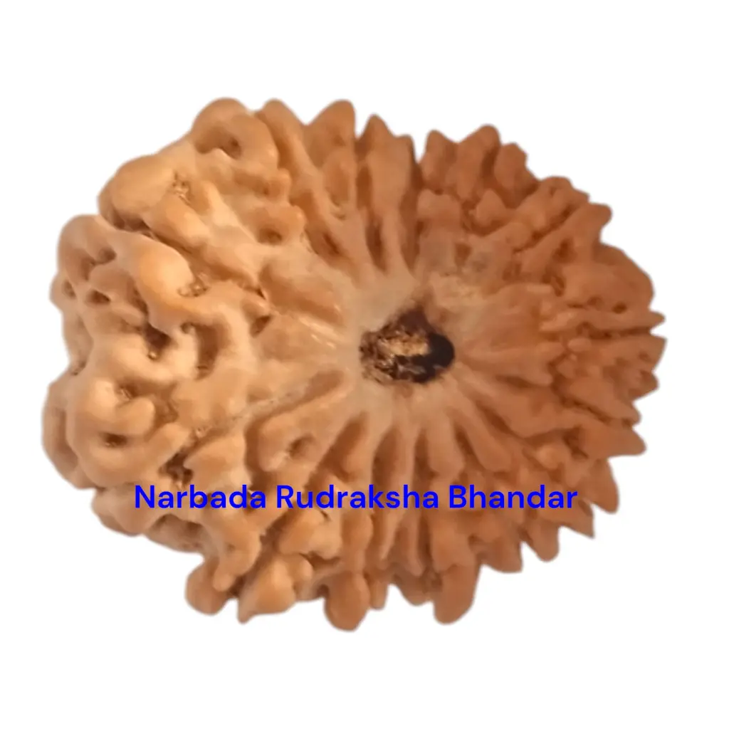 WhatsApp Image 2025-12-10 at 10.03.35 PM.webp