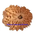 WhatsApp Image 2025-12-10 at 10.03.35 PM.webp