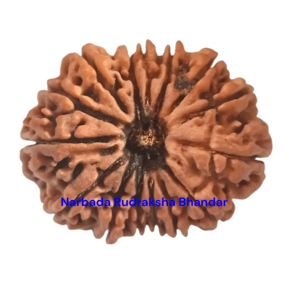 WhatsApp Image 2025-12-10 at 10.06.49 PM.webp