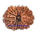 WhatsApp Image 2025-12-10 at 10.06.49 PM.webp