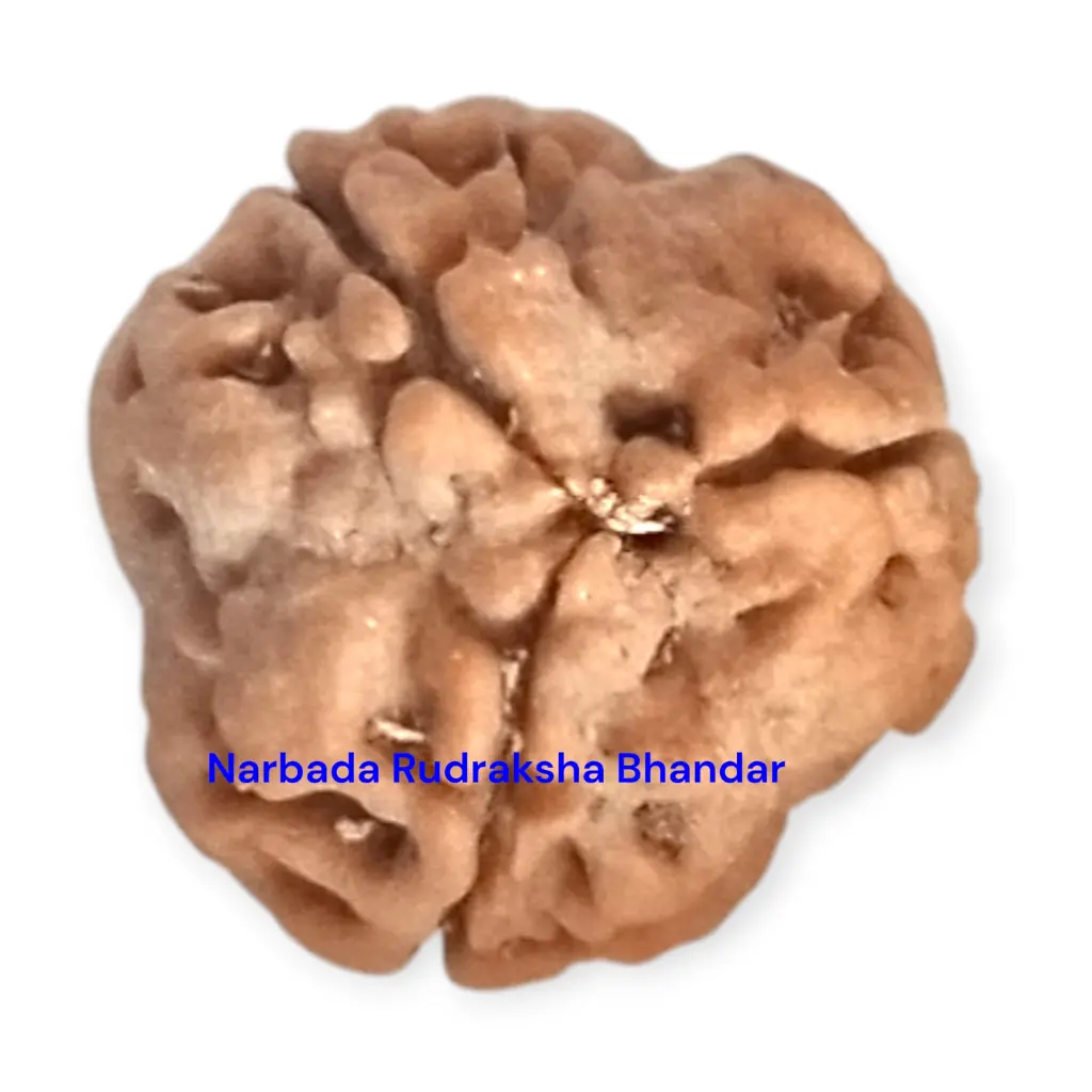 WhatsApp Image 2025-12-10 at 10.07.21 PM (1).webp