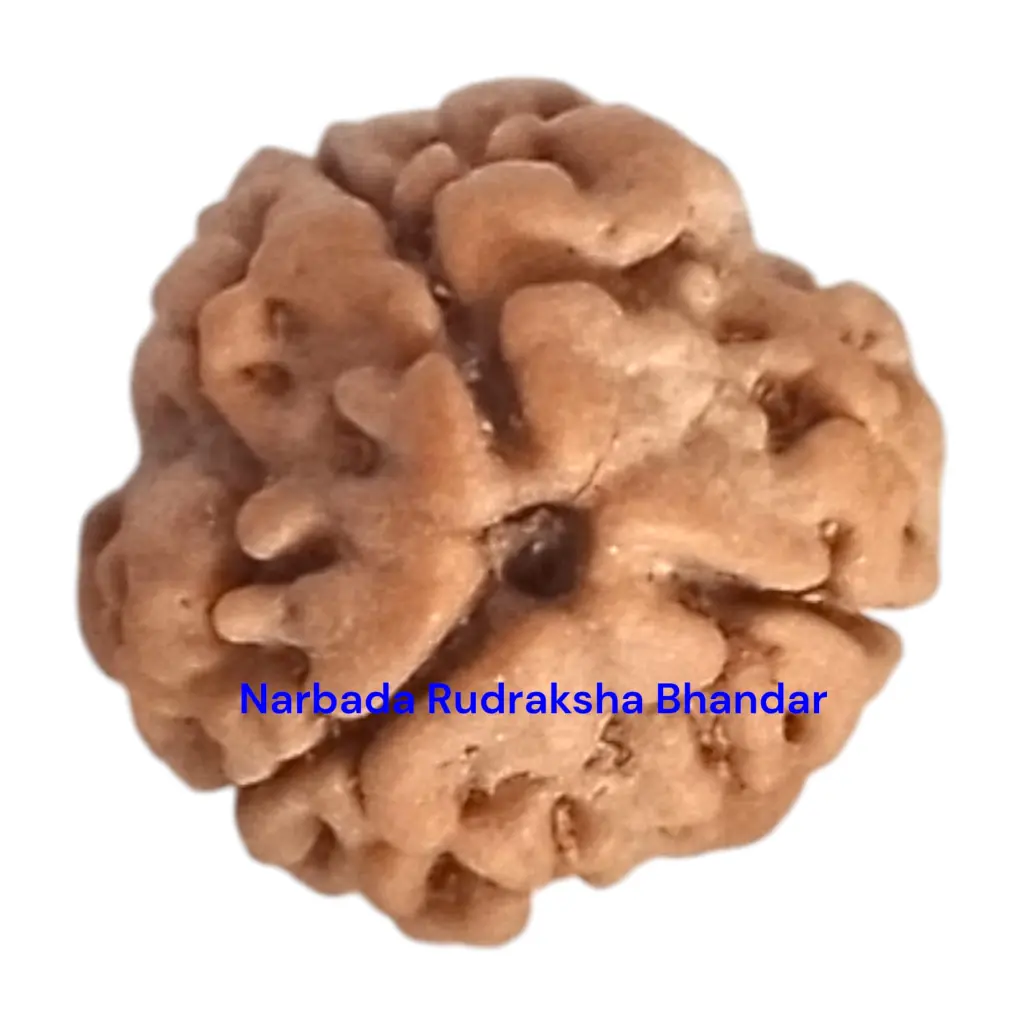 WhatsApp Image 2025-12-10 at 10.07.21 PM.webp