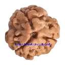 WhatsApp Image 2025-12-10 at 10.07.21 PM.webp