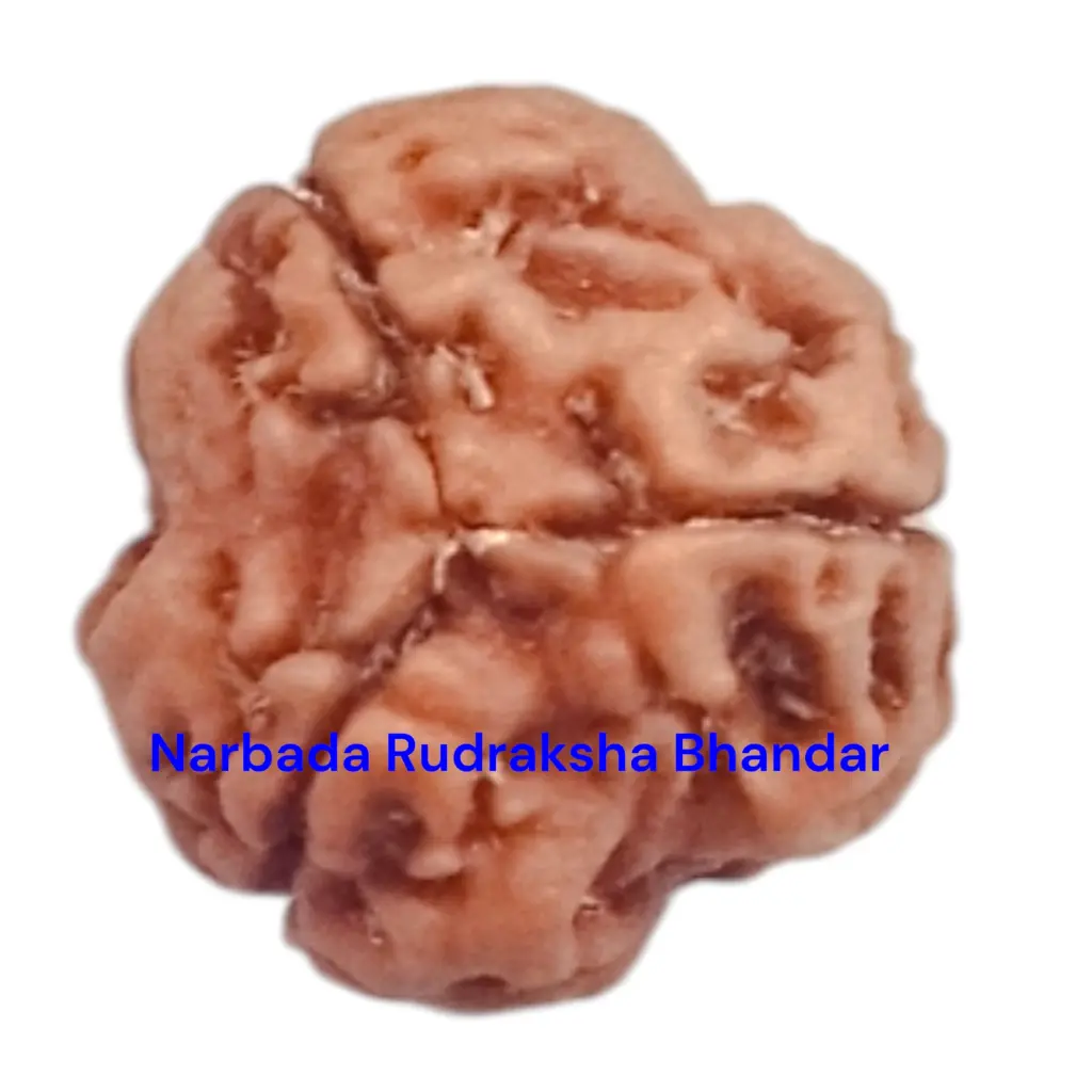 WhatsApp Image 2025-12-10 at 10.07.22 PM (1).webp