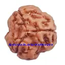 WhatsApp Image 2025-12-10 at 10.07.22 PM (1).webp