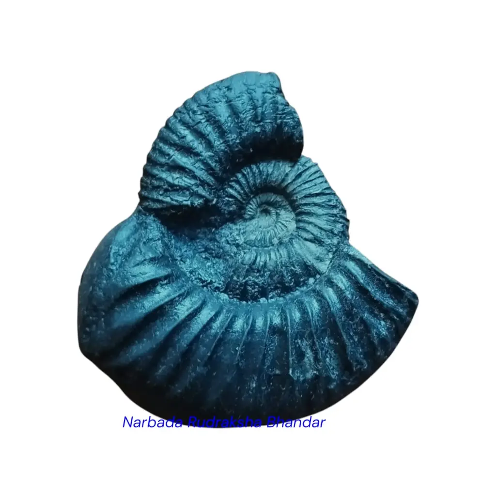 Saligram