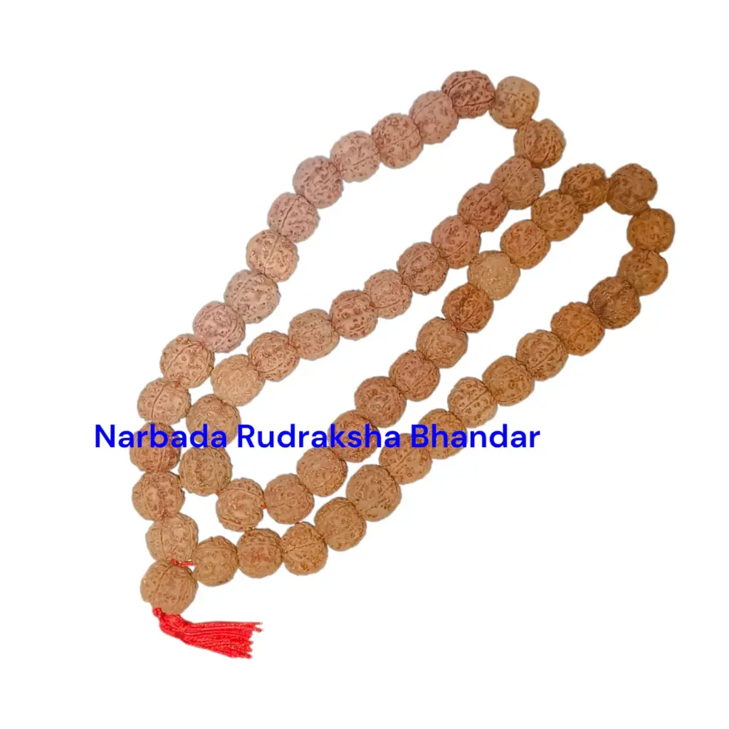 5 Mukhi Rudraksha Mala