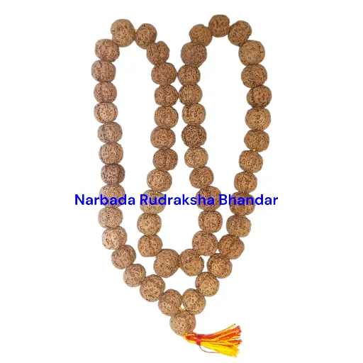 4 Mukhi Rudraksha Mala