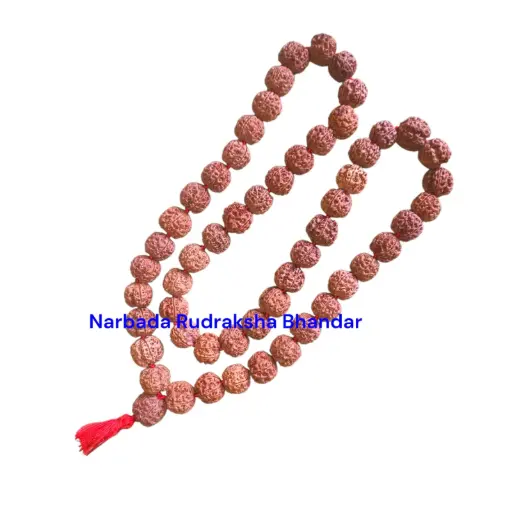 5 Mukhi Rudraksha Japa Mala